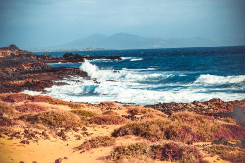 Fuerteventura