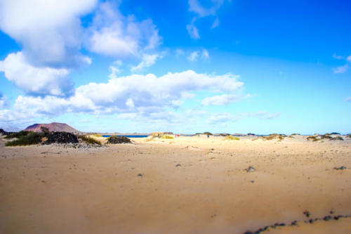 Grandes playas de corralejo